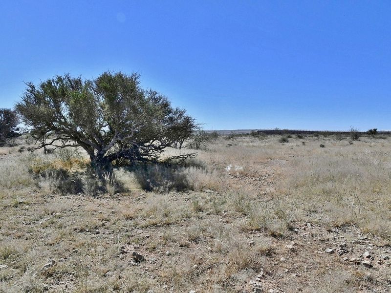 LOOKING TO INVEST IN YOUR OWN PIECE OF AGRICULTURAL PARADISE? - Photo 3