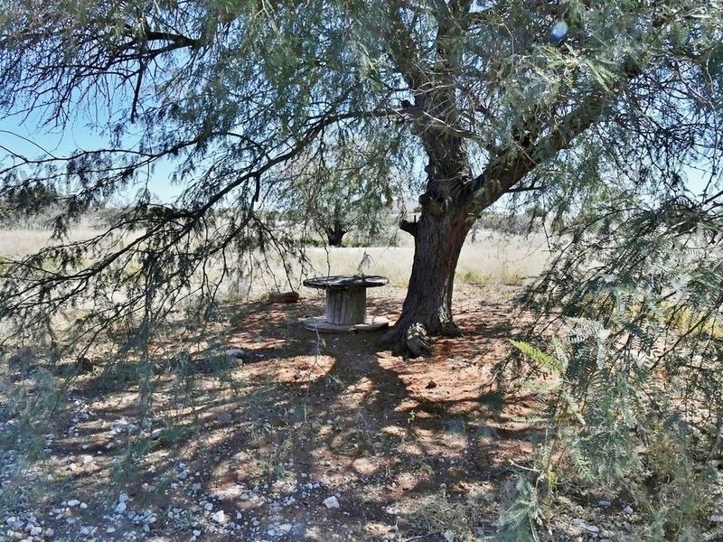 LOOKING TO INVEST IN YOUR OWN PIECE OF AGRICULTURAL PARADISE? - Photo 2