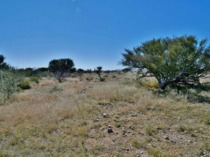 LOOKING TO INVEST IN YOUR OWN PIECE OF AGRICULTURAL PARADISE? - Photo 5