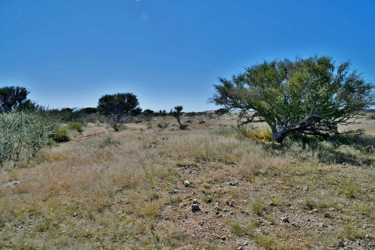 LOOKING TO INVEST IN YOUR OWN PIECE OF AGRICULTURAL PARADISE? - Photo 5