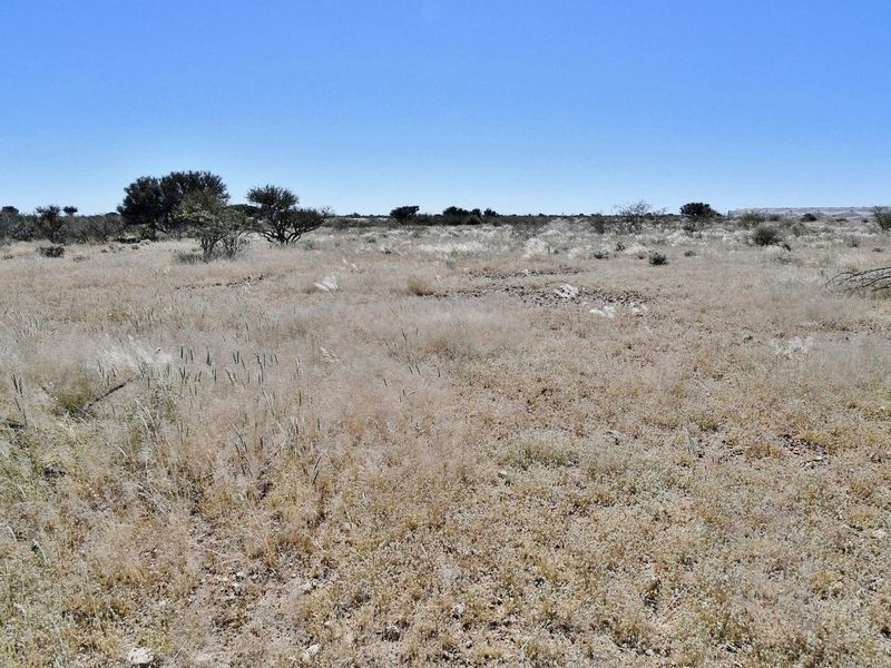 LOOKING TO INVEST IN YOUR OWN PIECE OF AGRICULTURAL PARADISE? - Photo 4