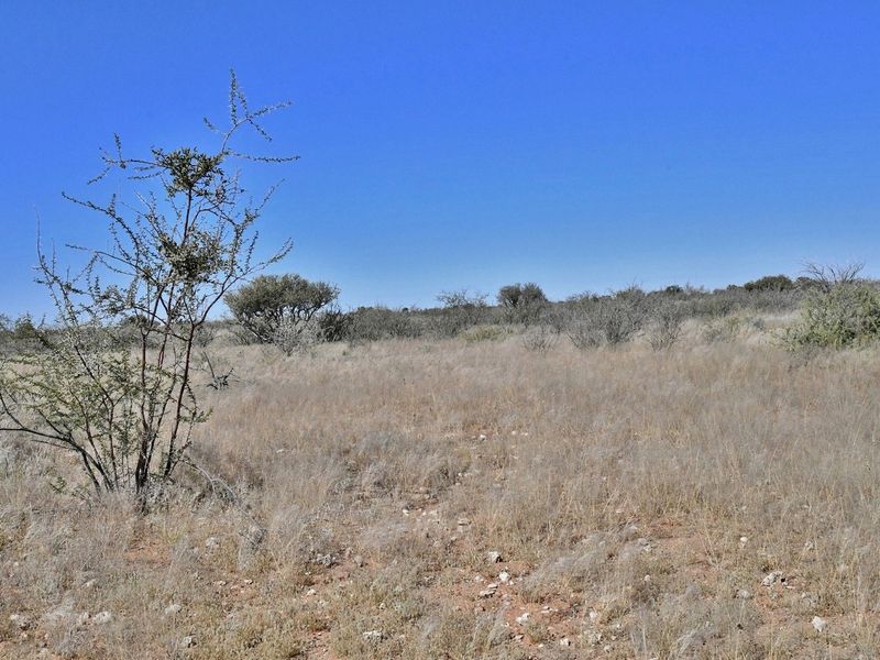 An expansive view of the undeveloped natural landscape featuring dry grassland and indigenous shrubbery on the small holding.