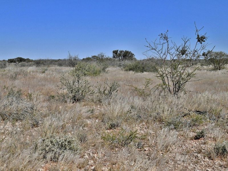An expansive view of the natural, undeveloped landscape featuring indigenous shrubs and dry grassland typical of the small holding property.