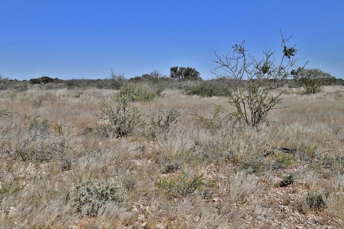 An expansive view of the natural, undeveloped landscape featuring indigenous shrubs and dry grassland typical of the small holding property.
