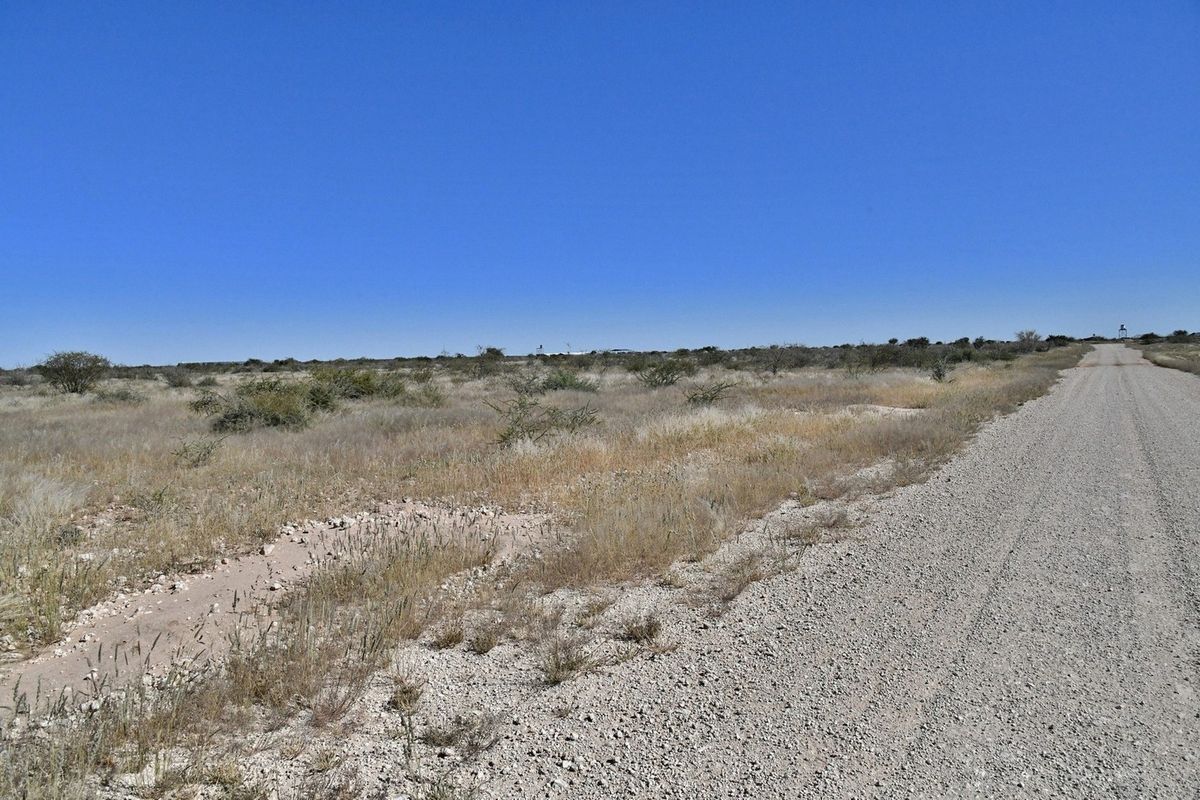 A view of a gravel access road leading through the open, undeveloped landscape of the small holding.