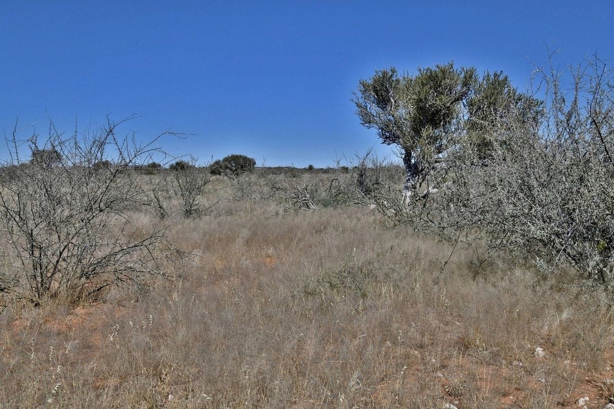 An expansive view of the natural, undeveloped landscape featuring indigenous shrubs and dry grassland typical of the small holding property.