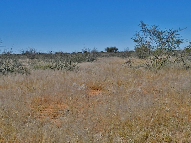 An expansive, undeveloped plot of land featuring natural dry grassland and native shrubbery under a clear blue sky.