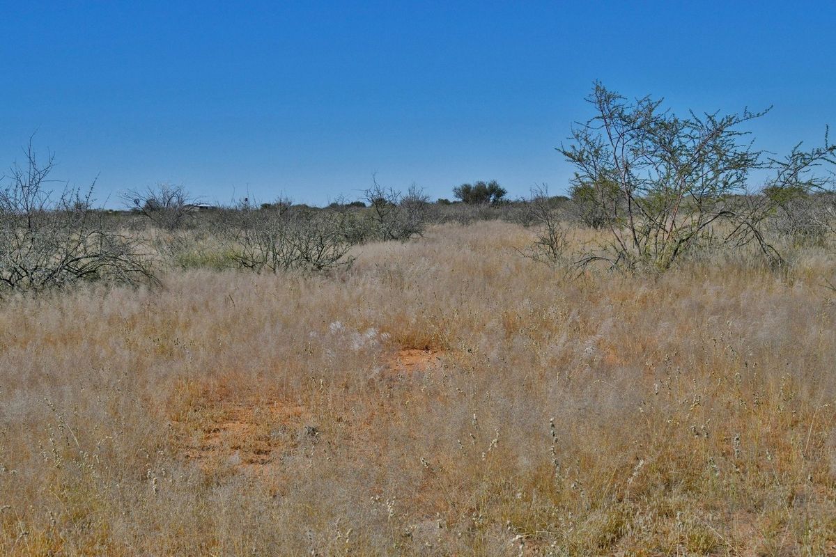 An expansive, undeveloped plot of land featuring natural dry grassland and native shrubbery under a clear blue sky.
