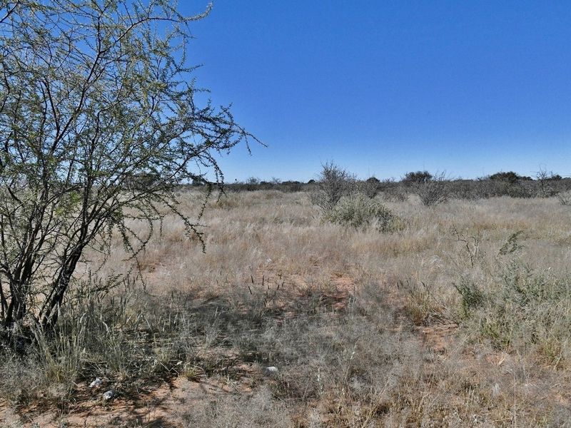 An expansive, undeveloped plot of land featuring natural dry veld vegetation and indigenous shrubs under a clear blue sky.