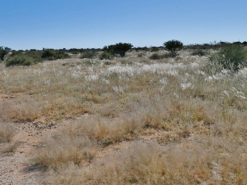 START LIVING YOUR AGRICULTURAL DREAM TODAY! - Photo 2