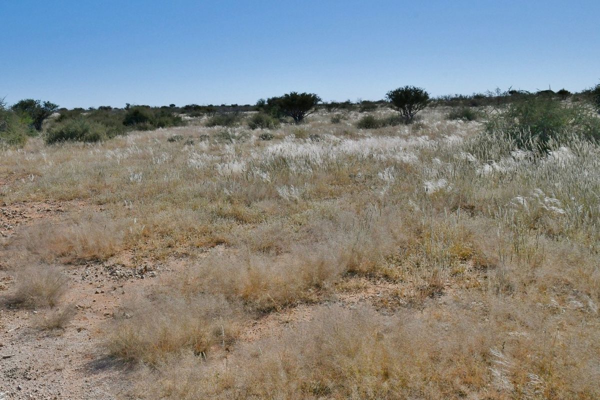 START LIVING YOUR AGRICULTURAL DREAM TODAY! - Photo 2