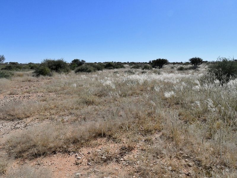 START LIVING YOUR AGRICULTURAL DREAM TODAY! - Photo 4