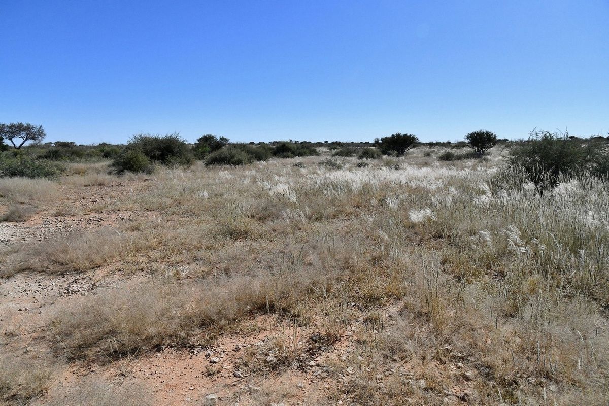 START LIVING YOUR AGRICULTURAL DREAM TODAY! - Photo 4