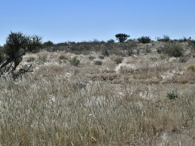 START LIVING YOUR AGRICULTURAL DREAM TODAY! - Photo 3