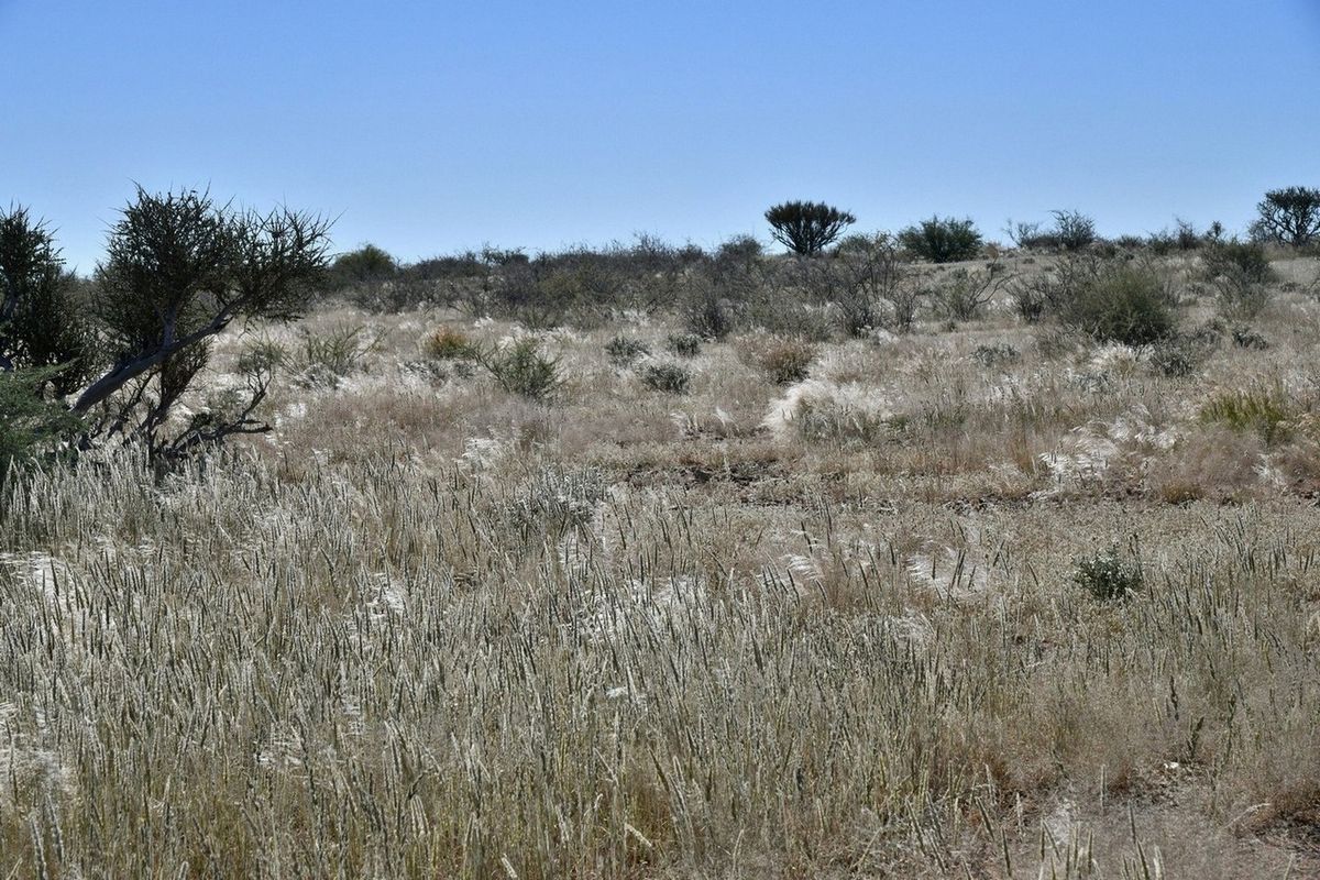 START LIVING YOUR AGRICULTURAL DREAM TODAY! - Photo 3