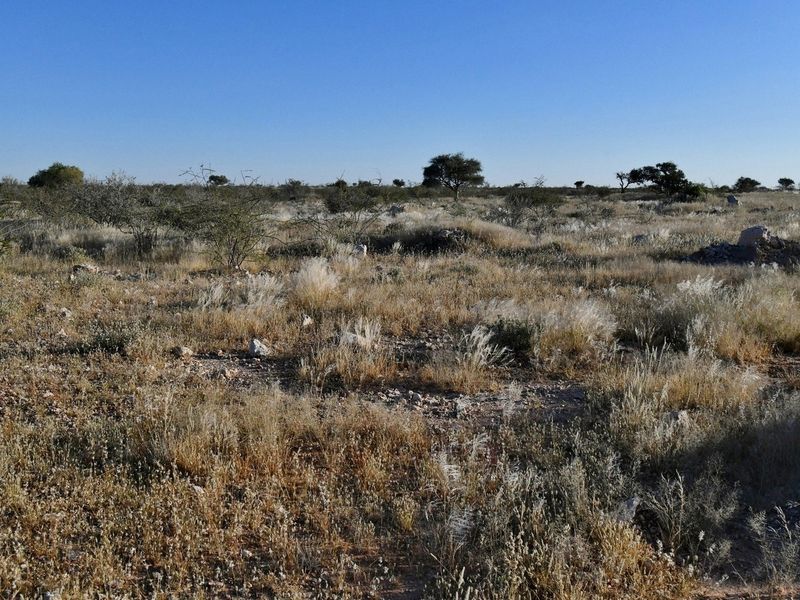 AGRICULTURAL PLOT FOR SALE - Photo 3