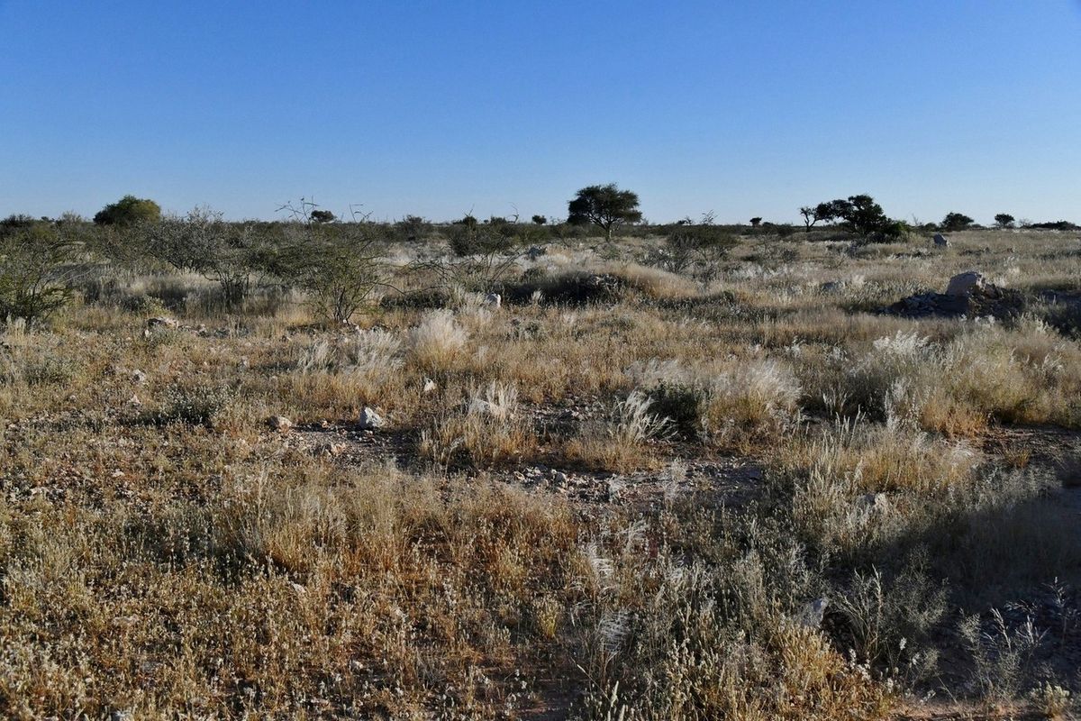 AGRICULTURAL PLOT FOR SALE - Photo 3