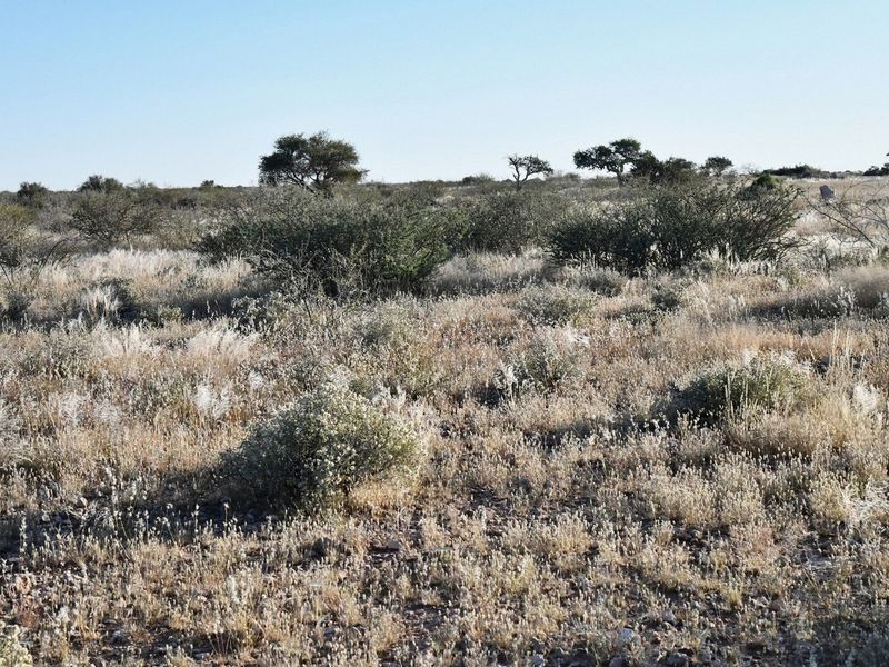 AGRICULTURAL PLOT FOR SALE - Photo 4