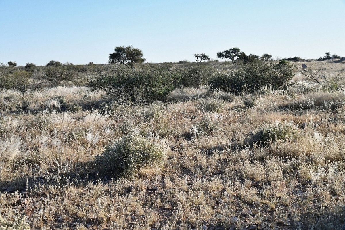 AGRICULTURAL PLOT FOR SALE - Photo 4