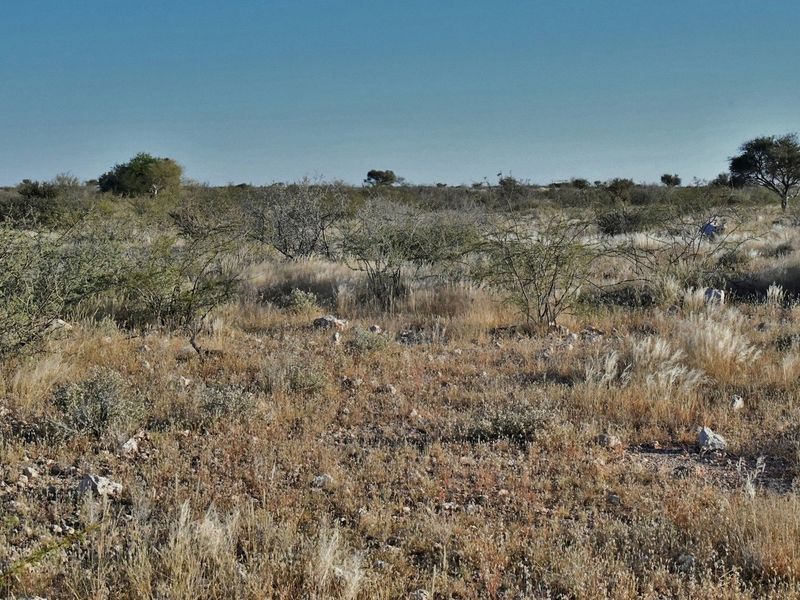 AGRICULTURAL PLOT FOR SALE - Photo 2