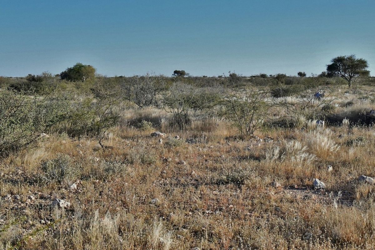 AGRICULTURAL PLOT FOR SALE - Photo 2