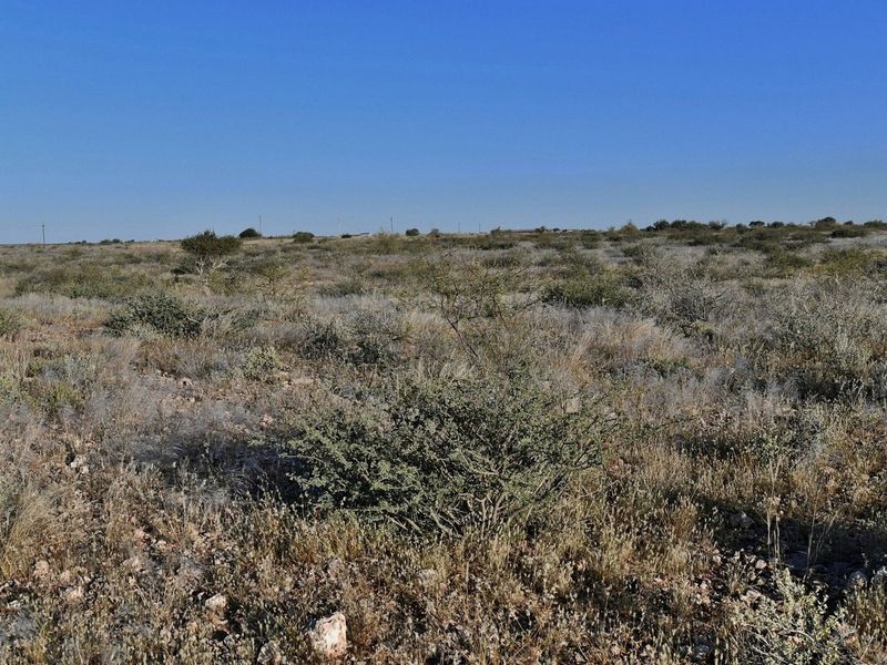 AGRICULTURAL PLOT FOR SALE - Photo 5