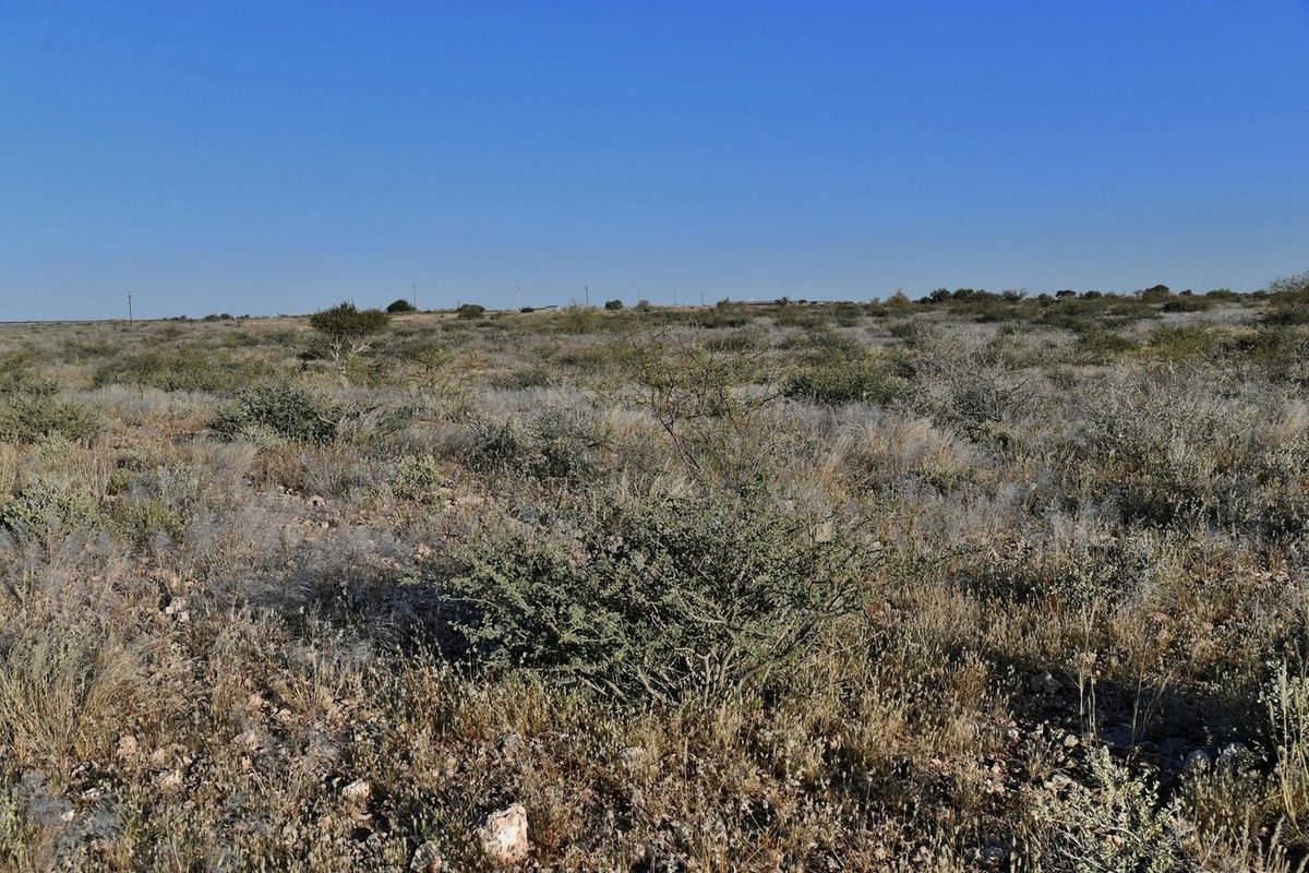 AGRICULTURAL PLOT FOR SALE - Photo 5