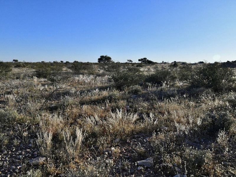 AGRICULTURAL PLOT FOR SALE - Photo 8