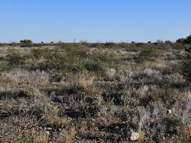 AGRICULTURAL PLOT FOR SALE - Photo 7