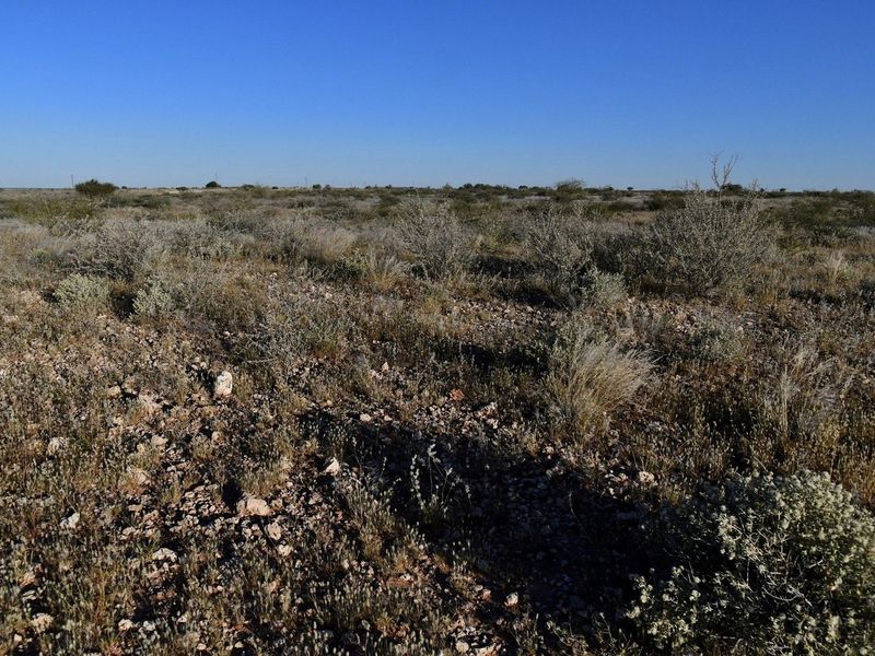 AGRICULTURAL PLOT FOR SALE - Photo 6