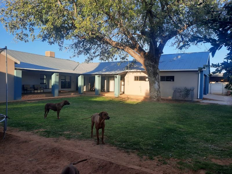 Spacious rear garden featuring a large mature tree, a covered patio area, and a well-maintained lawn surrounding the house exterior.