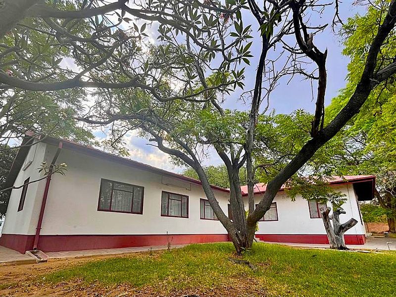 Rear view of a single-story house featuring a metal roof, white exterior walls with red trim, and mature trees in the garden.