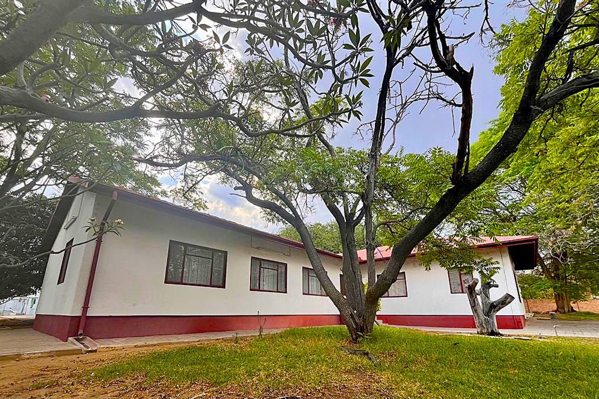 Rear view of a single-story house featuring a metal roof, white exterior walls with red trim, and mature trees in the garden.