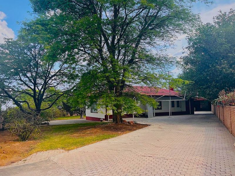 A view of the front exterior featuring a paved driveway, mature trees, and a house with a metal roof and brick boundary wall.