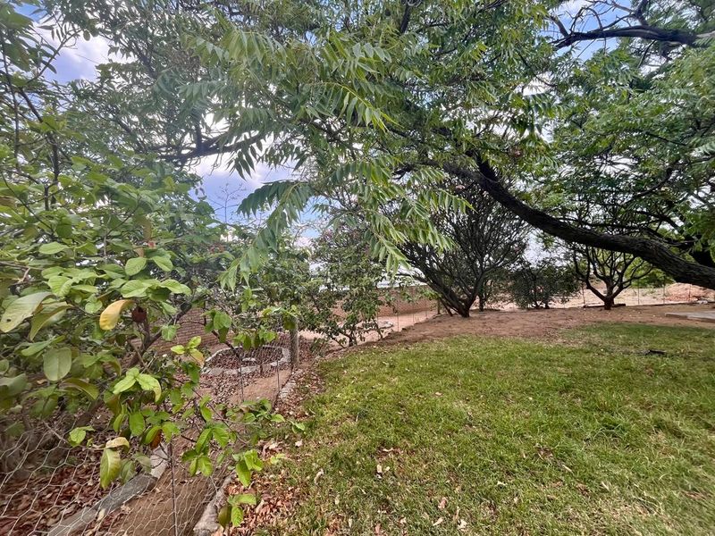 A spacious garden area featuring mature trees, a grass lawn, and brick boundary walling with wire fencing.
