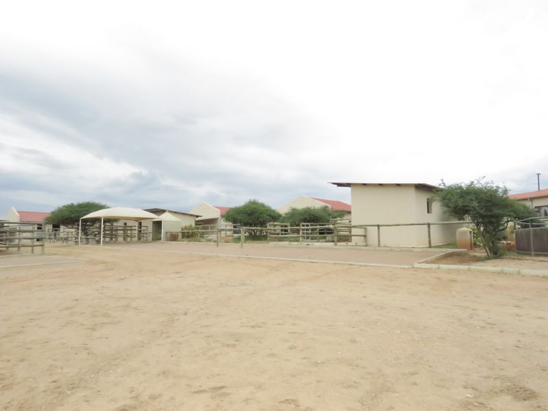 Equestrian dream, amazing view - Photo 7