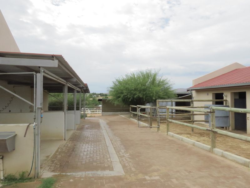 Equestrian dream, amazing view - Photo 6