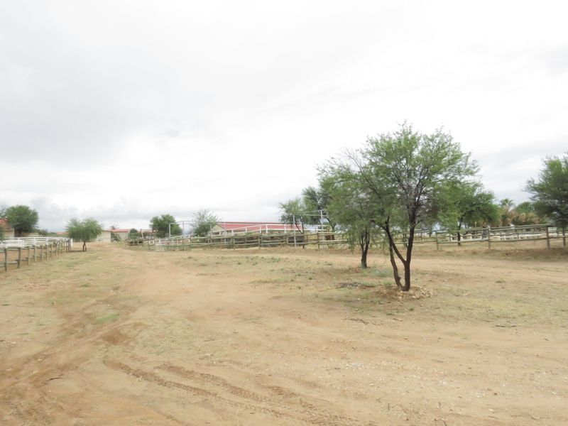 Equestrian dream, amazing view - Photo 5