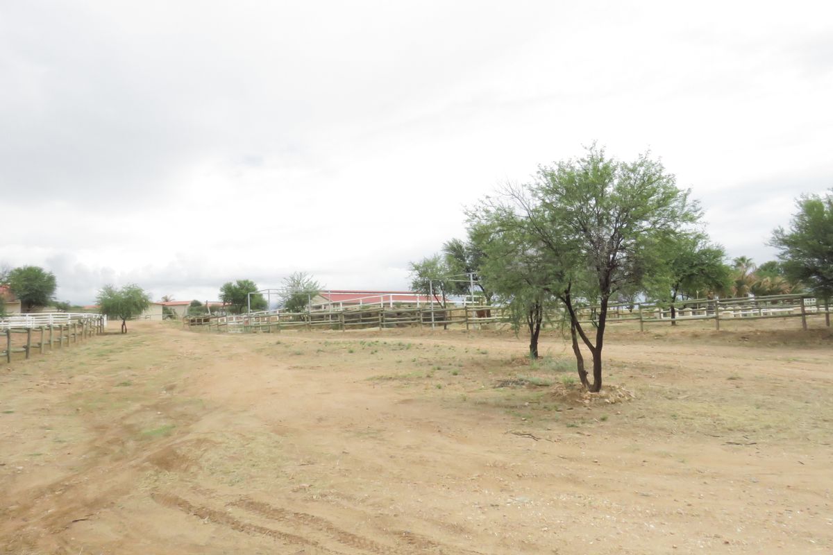 Equestrian dream, amazing view - Photo 5