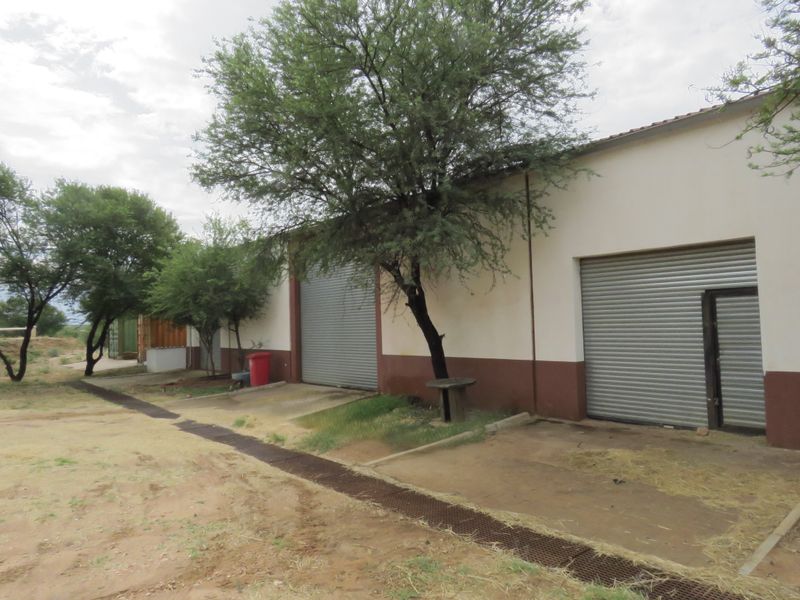 Equestrian dream, amazing view - Photo 4