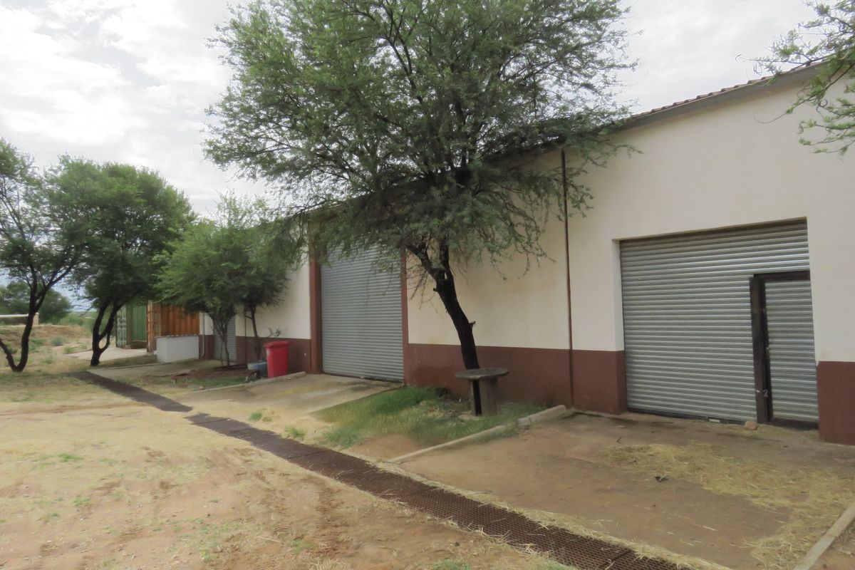 Equestrian dream, amazing view - Photo 4