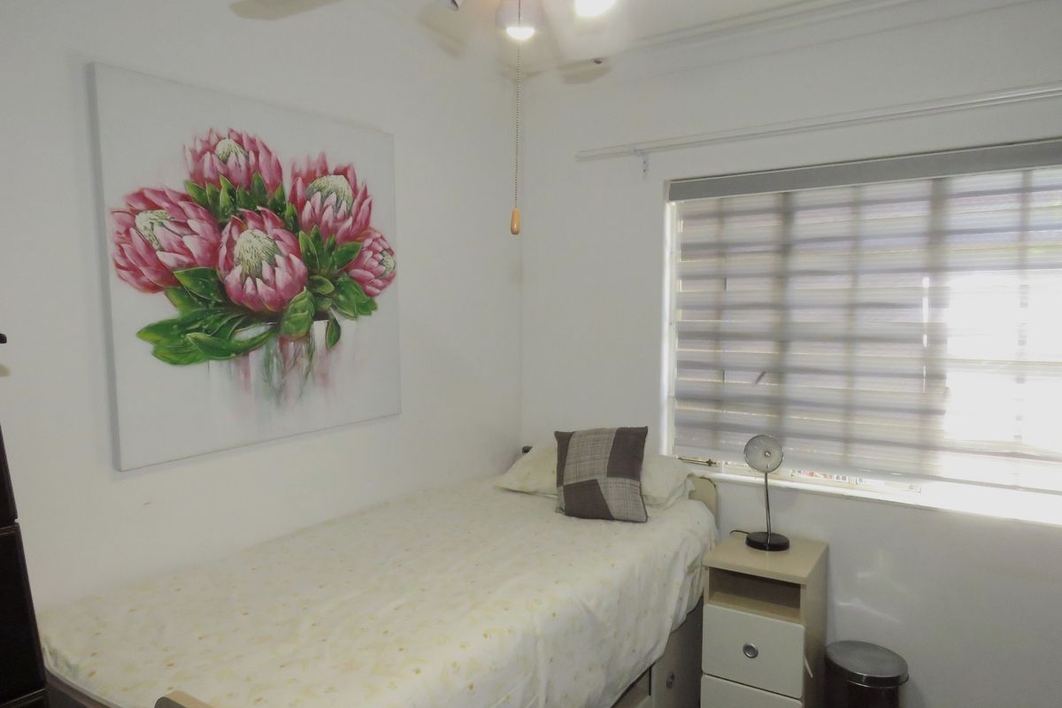 A compact bedroom featuring a ceiling fan, neutral wall finishes, and a modern roller blind over the window.