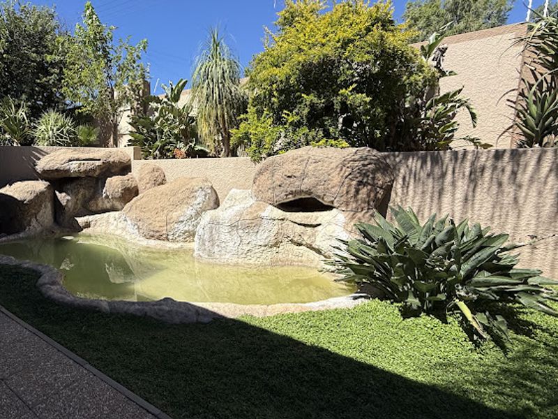 Outdoor pool area featuring a decorative rock water feature, boundary wall, and surrounding garden landscaping.