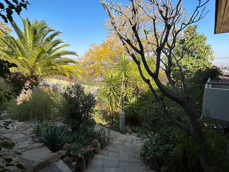 A landscaped garden featuring a stone-paved staircase leading down through mature trees and established greenery.