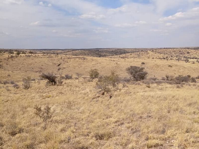 An expansive view of the natural, undeveloped residential land featuring native grasses and shrubs under a clear sky.