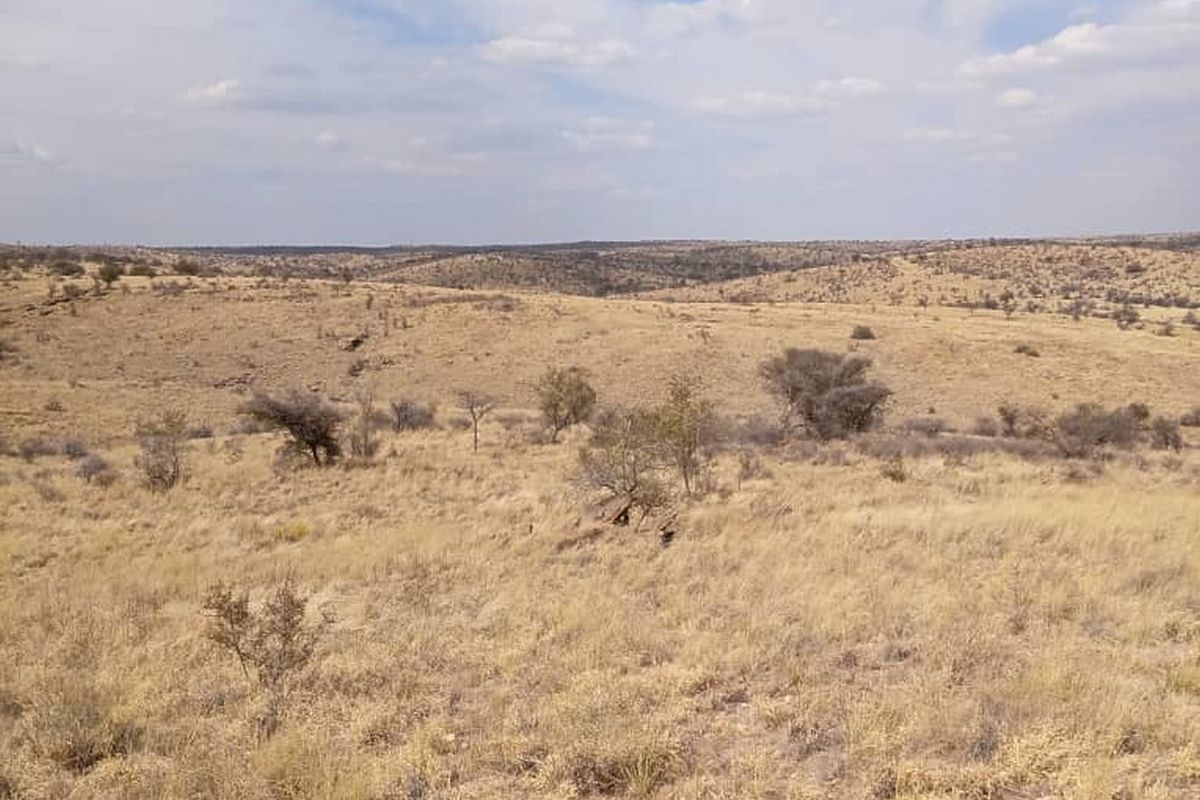 An expansive view of the natural, undeveloped residential land featuring native grasses and shrubs under a clear sky.