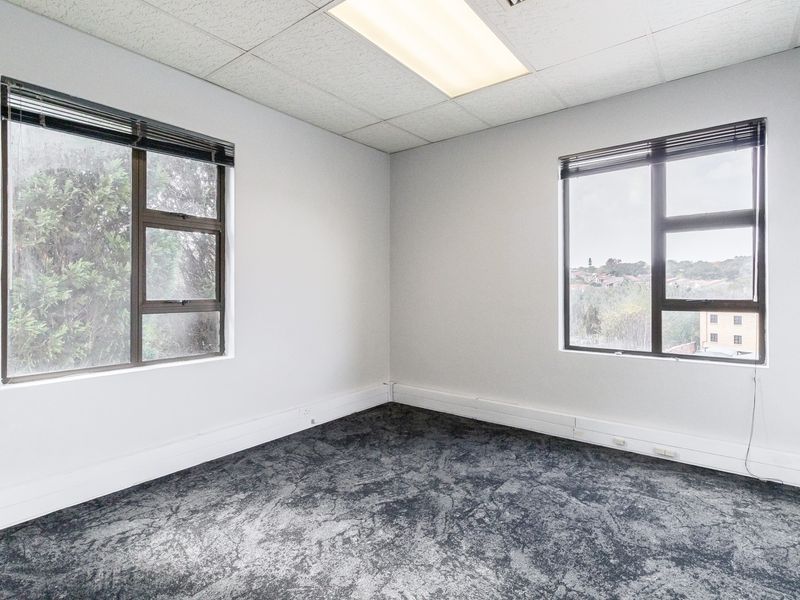 A bright, empty office space featuring carpeted flooring, suspended ceilings with recessed lighting, and large windows with venetian blinds.
