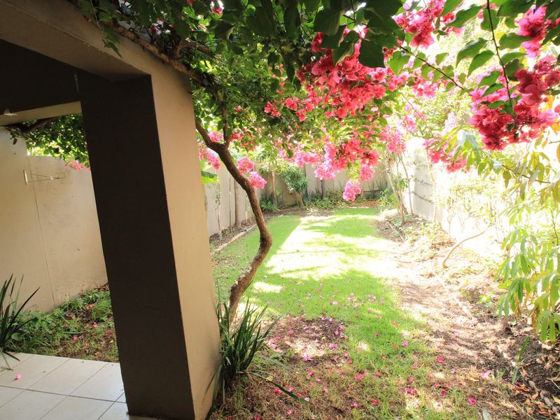 A private garden area featuring a tiled patio, boundary walls, and established bougainvillea providing shade and vibrant color.