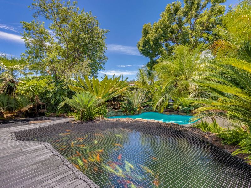 A beautifully landscaped outdoor area featuring a swimming pool, a large koi pond with a safety net, and surrounding timber decking.