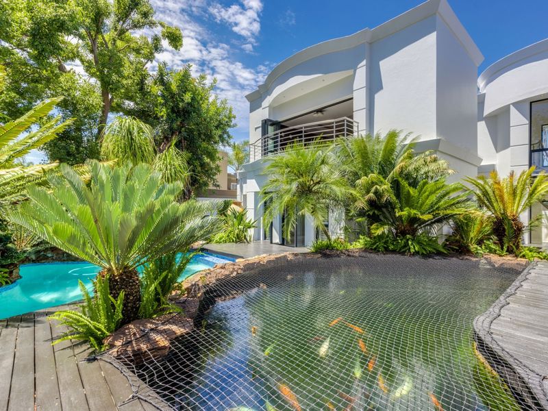 A beautifully landscaped rear garden featuring a swimming pool, a koi pond with safety netting, and timber decking leading to a modern two-story residence.